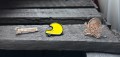 20180425_170217.jpg