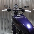 RENEGADE GRIPS MANETKI CUSTOM SCRAMBLER TRACKER CHOPPER HARLEY WHITE 1.jpg