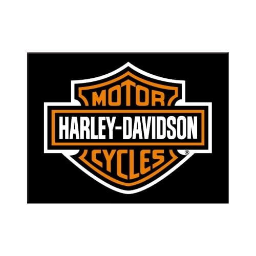 14227 Magnes Harley-Davidson Logo.jpg