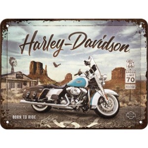 OZDOBNA METALOWA TABLICZKA HARLEY DAVIDSON 26255 PLAKAT 15 x 20cm  