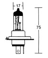 H4 Glühlampe 12V 60 55W P43t, Heavy Duty Highlife.jpg