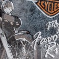 22174 Plakat 20x30 Harley-Davidson Favou 1.jpg