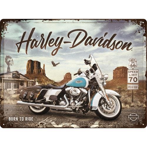 23291 Plakat 30x40 Harley Davidson Route.jpg