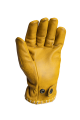 Coyote Yellow Embossed2.png