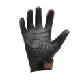 214350_ZAL545190.jpg