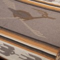 1969 Roadrunner blanket brown.jpg