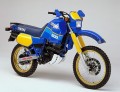 tenera harmonijki.jpg