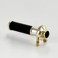 blocchetto-acceleratore-esterno-deluxe-ottone-satinato.jpg