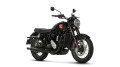 BSA-Gold-Star-in-Black-Shadow-Colorway5.jpg
