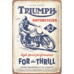 Ozdobna tabliczka metalowa Triumph Plakat 20x30 Triumph For the