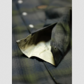 bear JACKET holy freedom 5.png