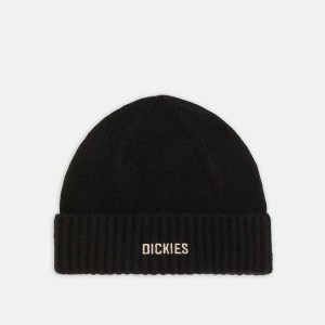 Dickies Harlowtown beanie ciepła wywijana czapka zimowa  