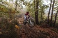 XE125 (3).jpg