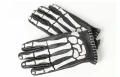 Skeletor Glove 3.jpg