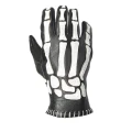 Skeletor Glove.jpg