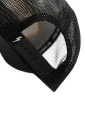 tiger_cap_4.jpg