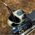 Biltwell Gringo S helmet Born Free18.png