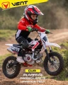 cub601.jpg